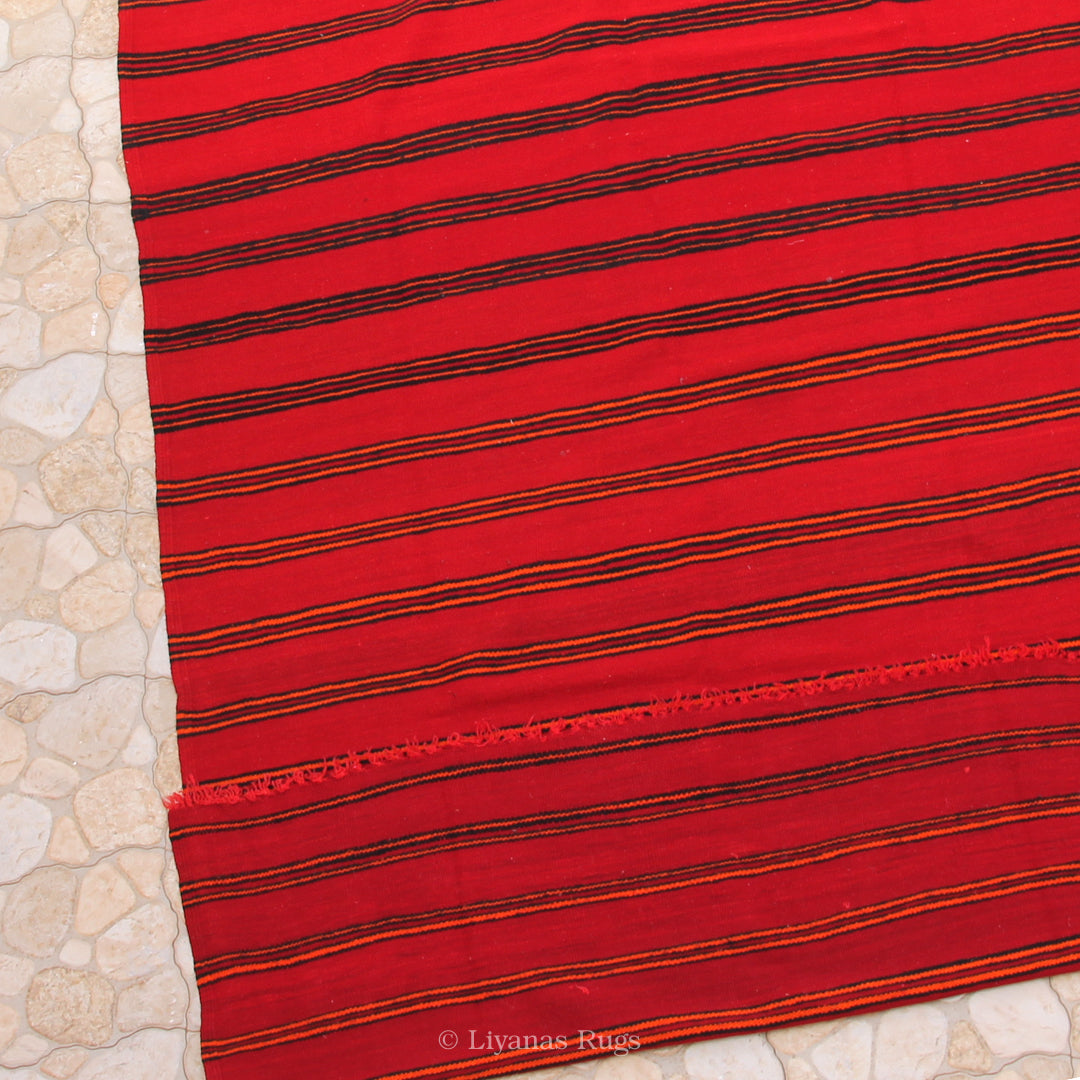 Berber Kelim Liyana,s Teppich - 343X188cm