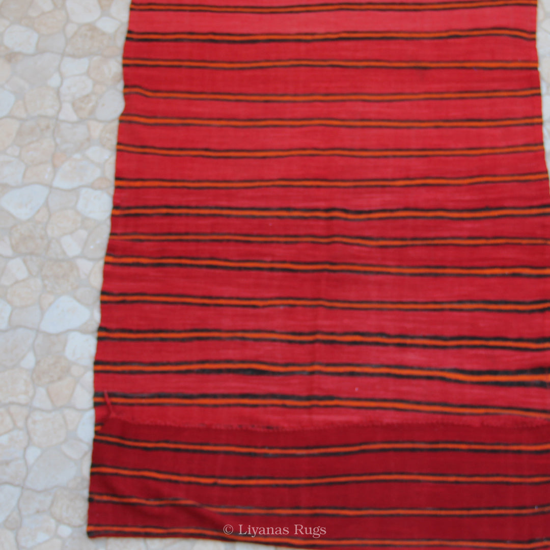Berber Kelim Liyana,s Teppich - 301X173cm