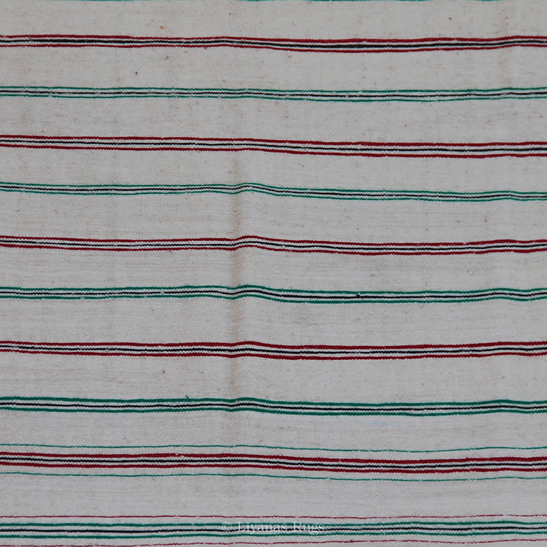 Berber Kelim Liyana,s Teppich - 364X203cm