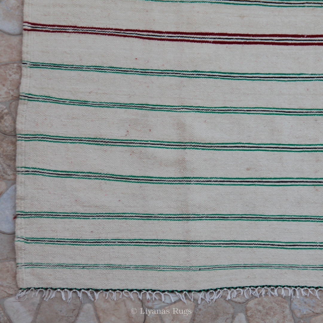 Berber Kelim Liyana,s Teppich - 364X203cm