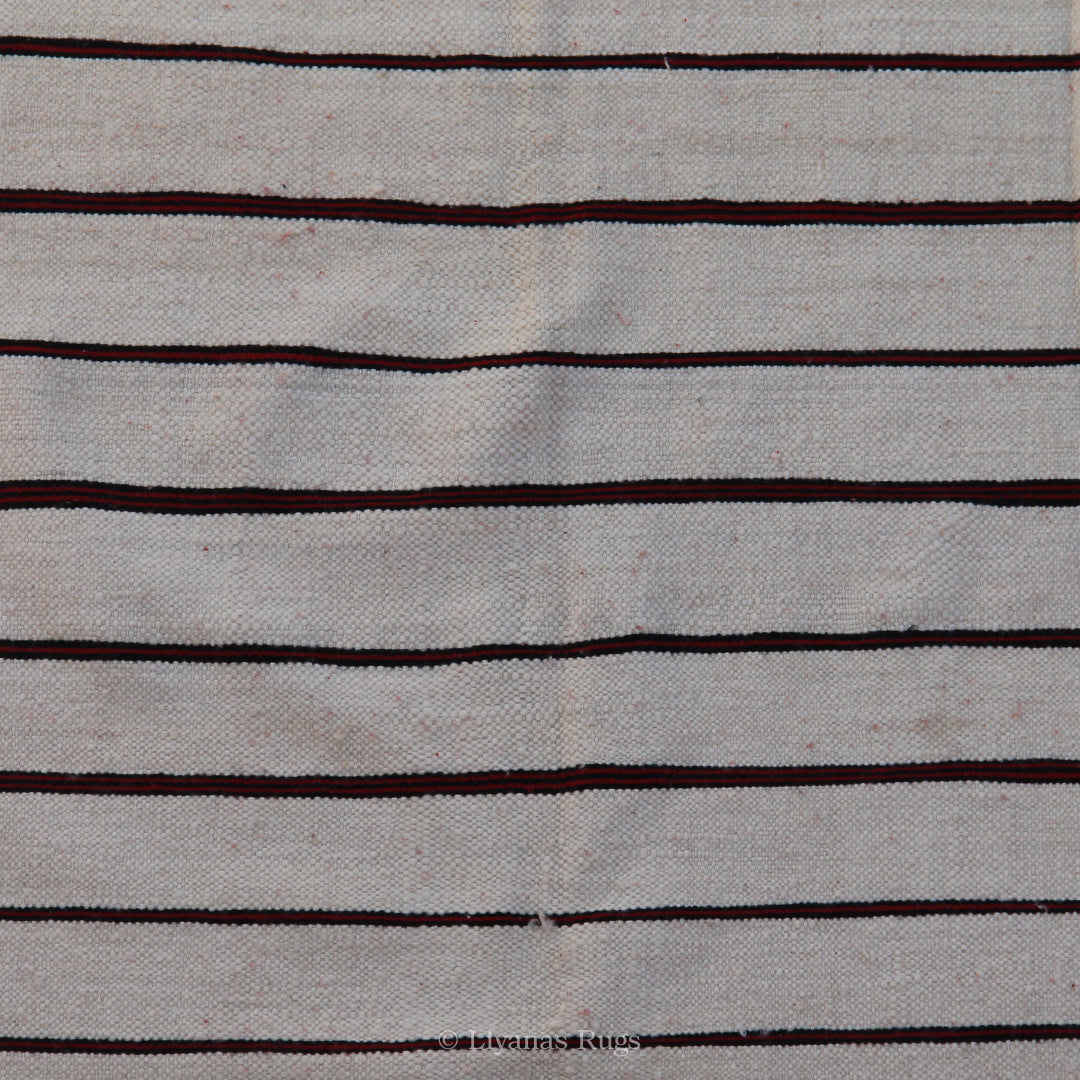 Berber Kelim Liyana,s Teppich - 356X194cm