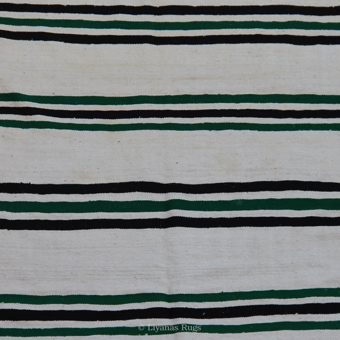 Berber Kelim Liyana,s Teppich - 260X173cm