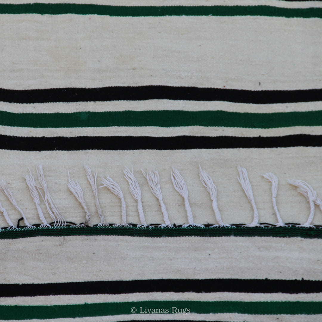 Berber Kelim Liyana,s Teppich - 260X173cm