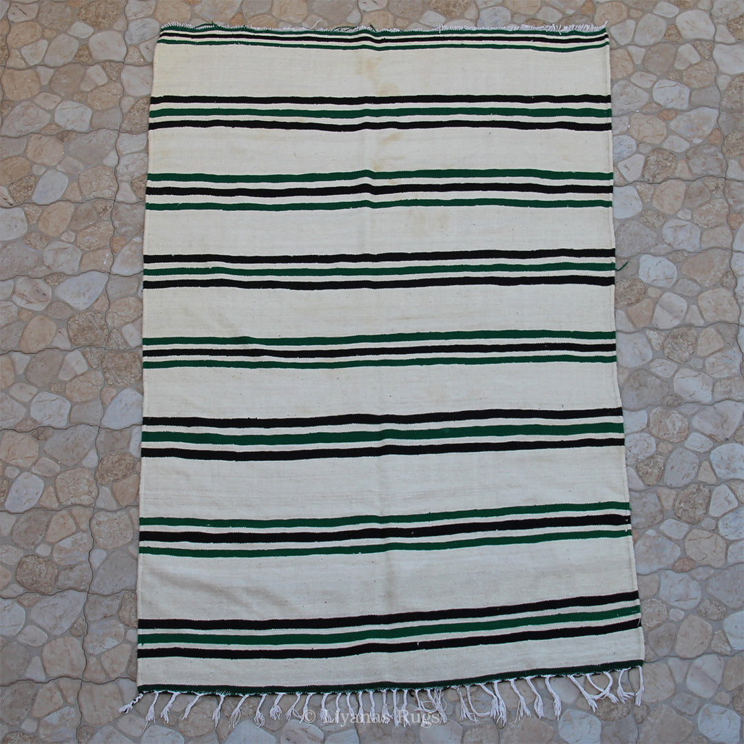 Berber Kelim Liyana,s Teppich - 260X173cm